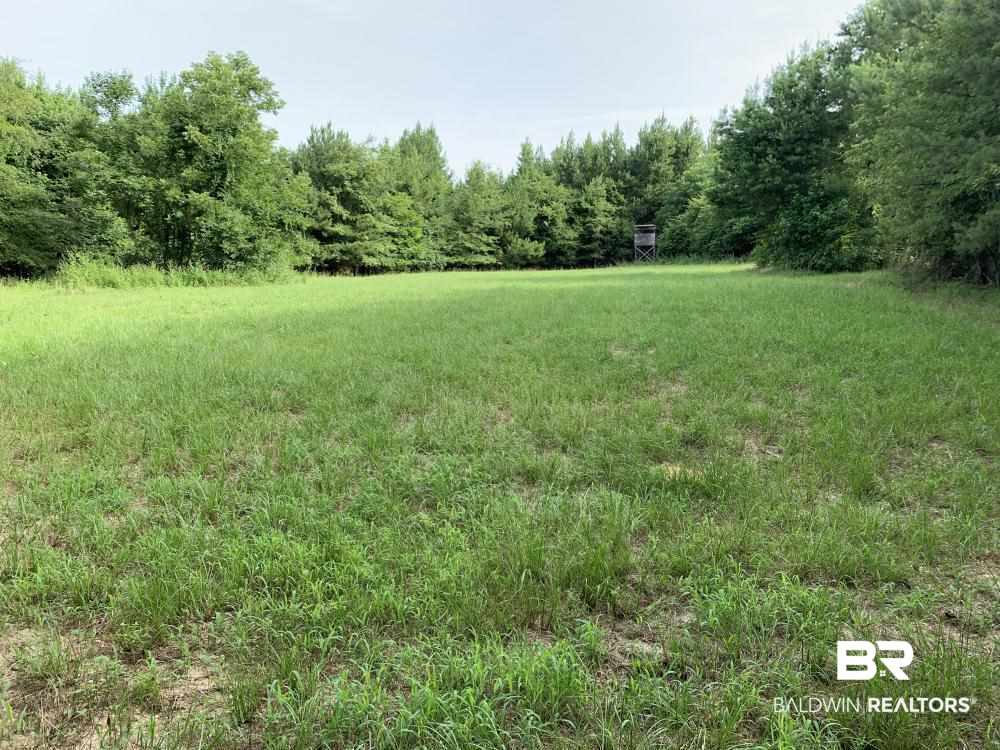 0 Country Road Uriah, AL 36480 - Photo 37 of 49