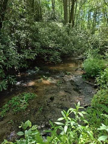 $1,300,000 | 0 Hemlock Ridge, Turtletown, TN 37391