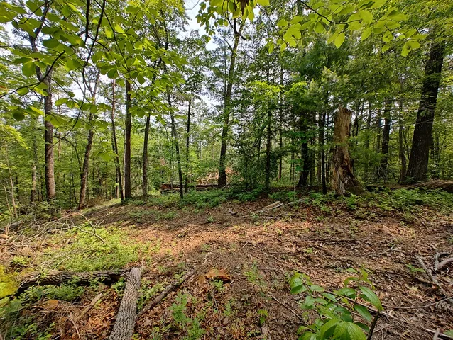 $1,300,000 | 0 Hemlock Ridge, Turtletown, TN 37391