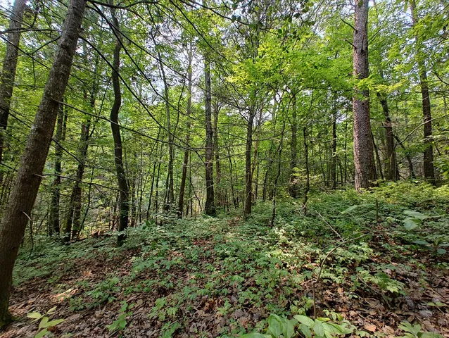 $1,300,000 | 0 Hemlock Ridge, Turtletown, TN 37391