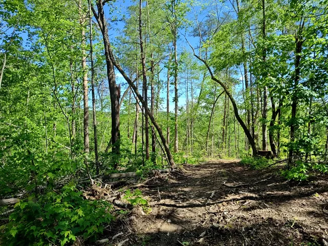 $1,300,000 | 0 Hemlock Ridge, Turtletown, TN 37391