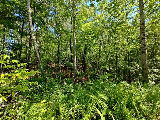 $1,300,000 | 0 Hemlock Ridge, Turtletown, TN 37391