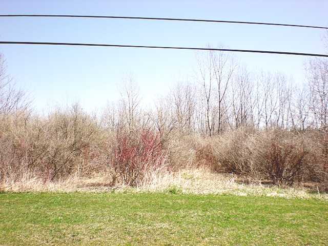 Vl Kent Road Kent, NY 14477 - Photo 1 of 1 Land