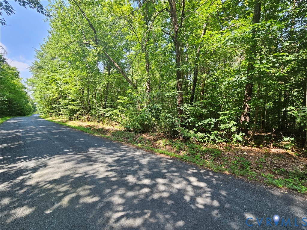 9-ac Childress Road Dillwyn, VA 23936 - Photo 8 of 8