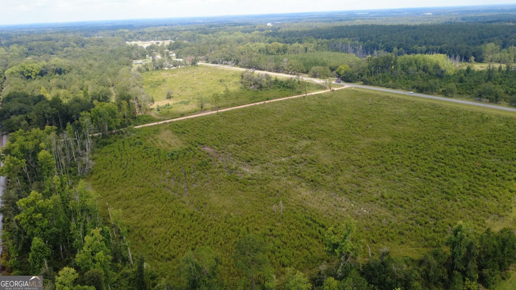 0 Sims Brothers Road Claxton, GA 30417 - Photo 16 of 18 Gallery Image 16
