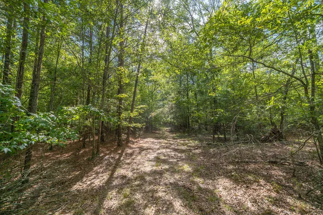 $850,000 | 47 Burton Drive, Edgefield, SC 29824