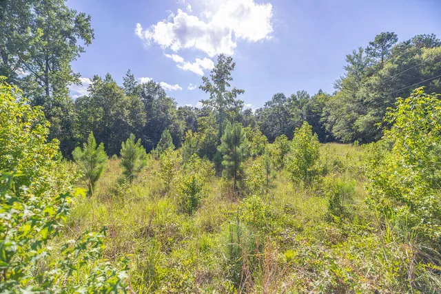 $850,000 | 47 Burton Drive, Edgefield, SC 29824