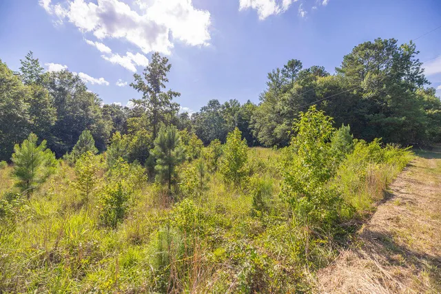 $850,000 | 47 Burton Drive, Edgefield, SC 29824