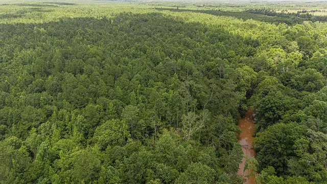 $850,000 | 47 Burton Drive, Edgefield, SC 29824