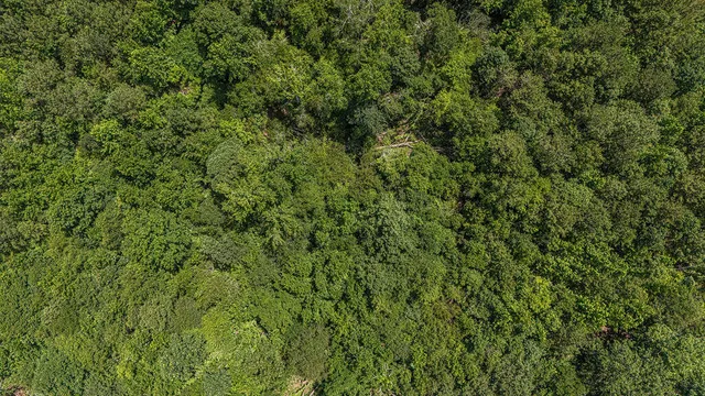 $850,000 | 47 Burton Drive, Edgefield, SC 29824