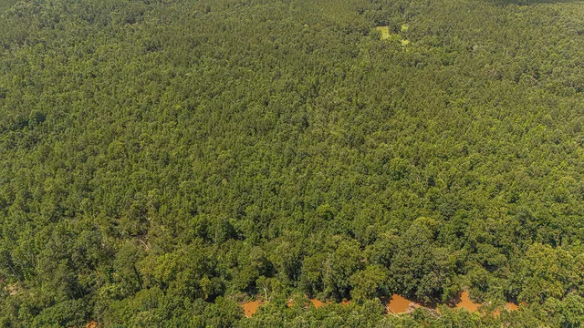 $850,000 | 47 Burton Drive, Edgefield, SC 29824