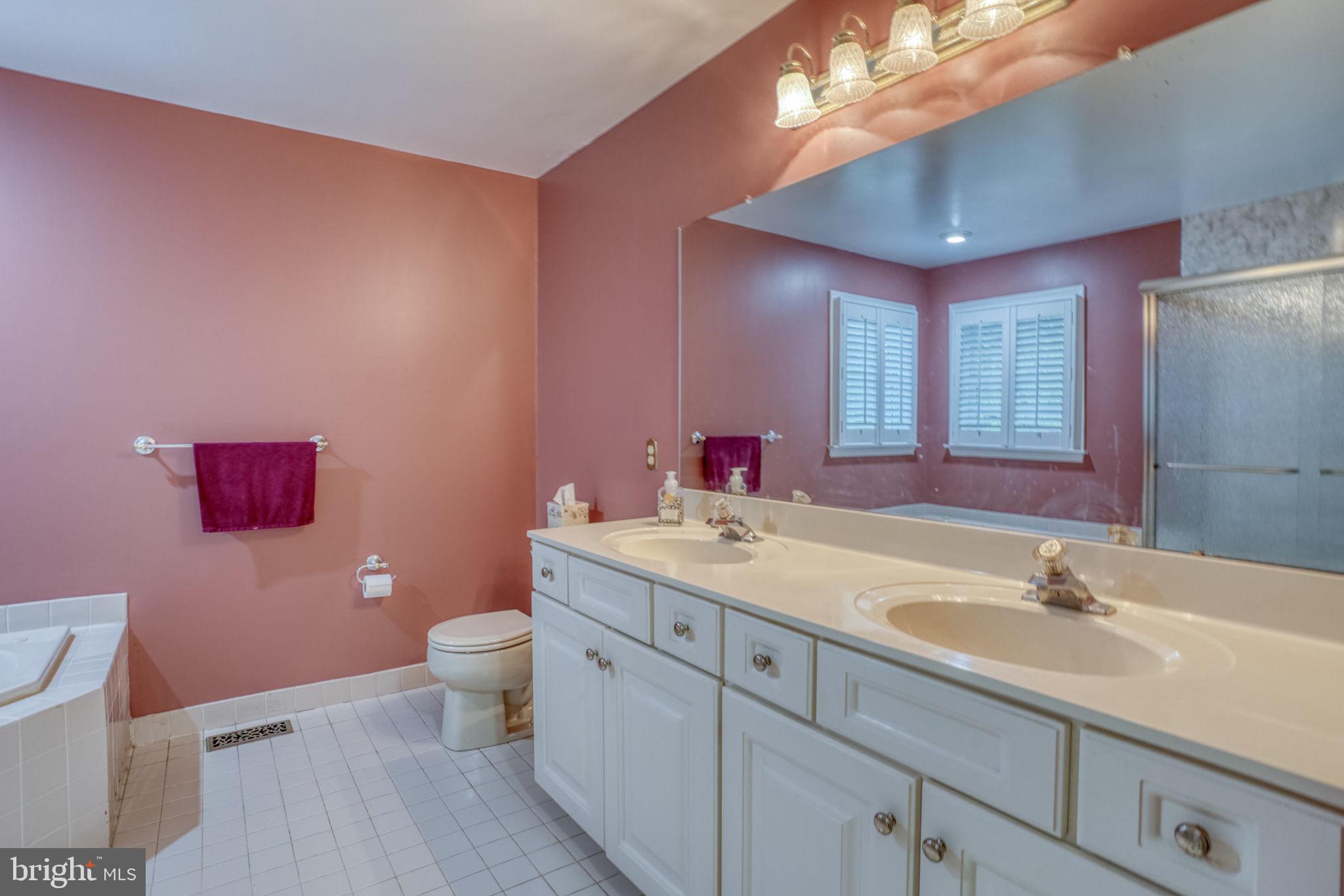 357 Willits Way Garnet Valley, PA 19060 - Photo 37 of 63 a bathroom with a sink a toilet a mirror and vanity
