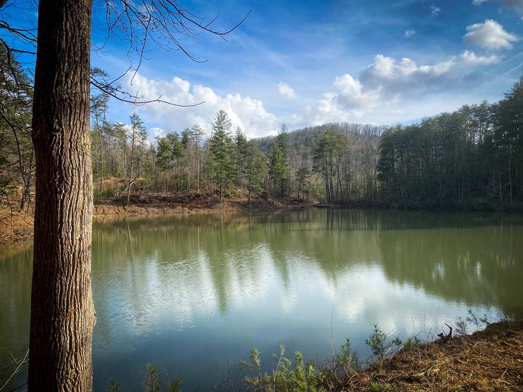 1941 Old Northcutt Road Ellijay, GA 30536 - Photo 50 of 57 Gallery Image 50