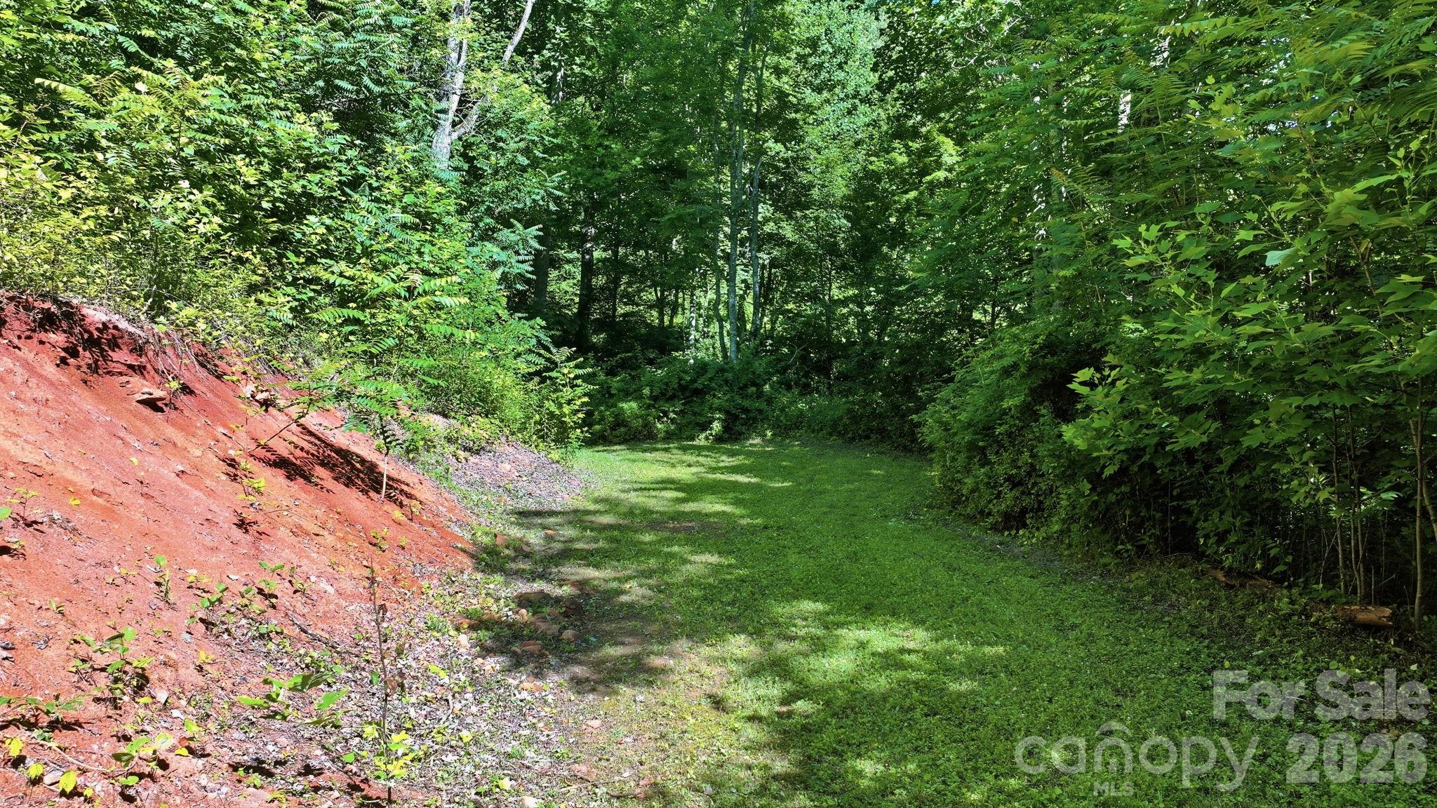 Tbd Dark Ridge Road Sylva, NC 28779 - Photo 3 of 17