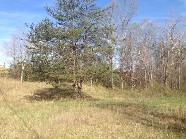 171 I B Maynard Road Spencer, TN 38585 - Photo 2 of 8 Gallery Image 2