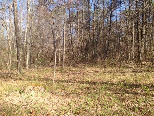 171 I B Maynard Road Spencer, TN 38585 - Photo 7 of 8 Gallery Image 7
