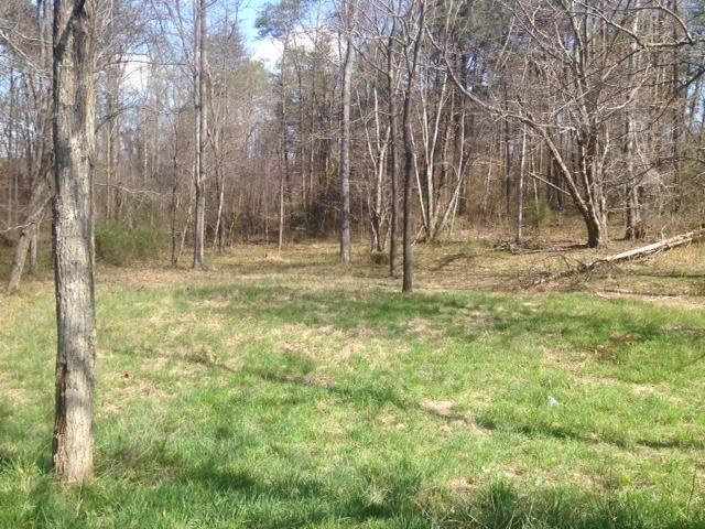 171 I B Maynard Road Spencer, TN 38585 - Photo 8 of 8 Gallery Image 8