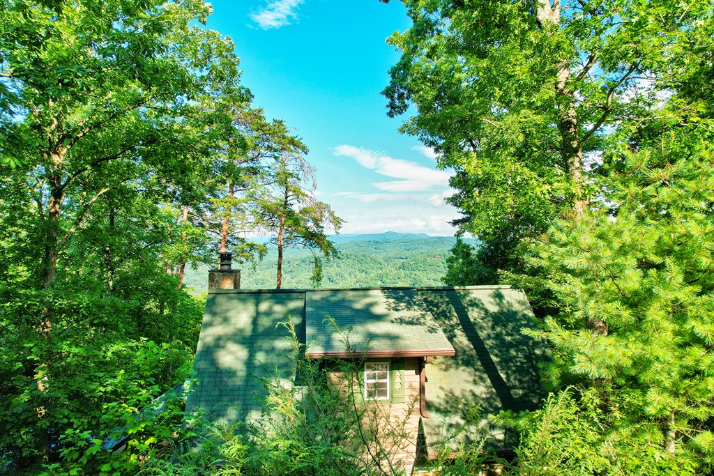 584 Laurel Ridge Drive Blue Ridge, GA 30513 - Photo 2 of 49 Gallery Image 2