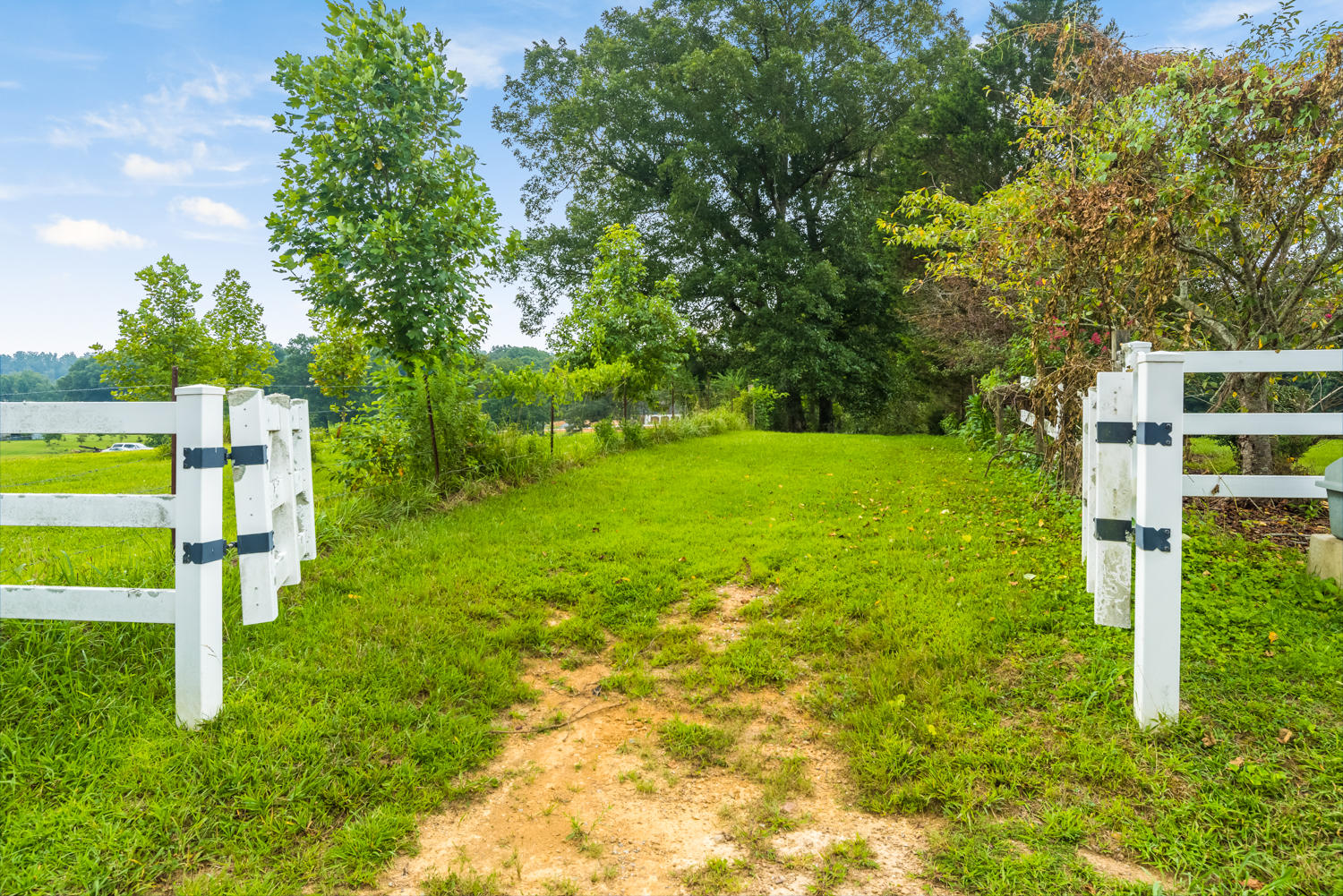 1379 Baugh Springs Road McDonald, TN 37353 - Photo 65 of 73 1379 Baugh Springs Road