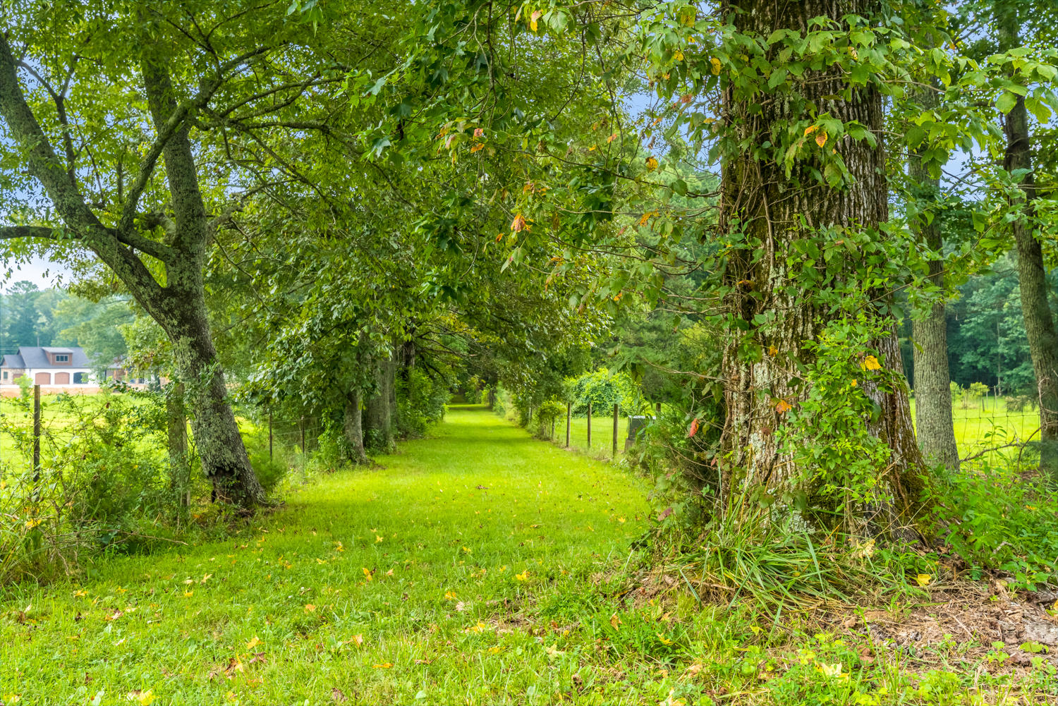 1379 Baugh Springs Road McDonald, TN 37353 - Photo 66 of 73 1379 Baugh Springs Road