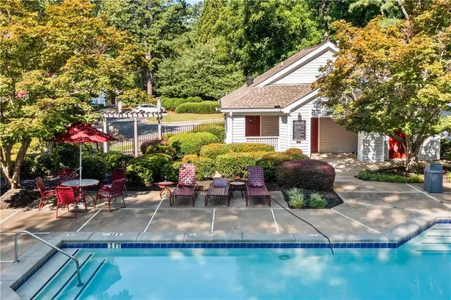 a view of a garden with plants