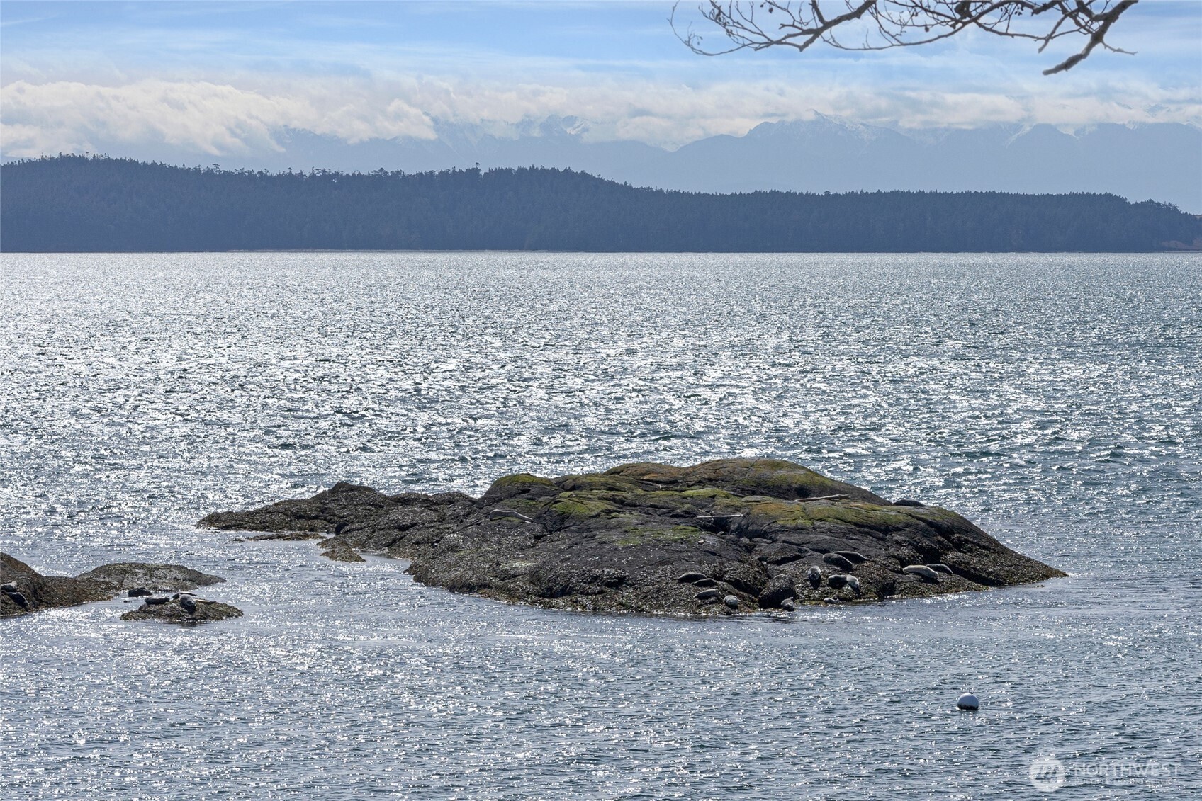 3073 Pear Point Road Friday Harbor, WA 98250 - Photo 16 of 38 Gallery Image 16