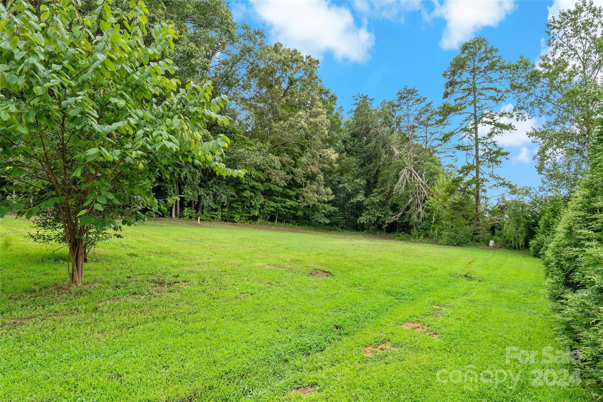 1798 Hopewell Road Morganton, NC 28655 - Photo 8 of 45 a view of a field with a tree