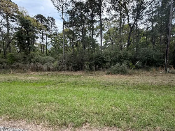 $30,000 | Tbd Tbd Wharf Drive, Trinity, TX 75862