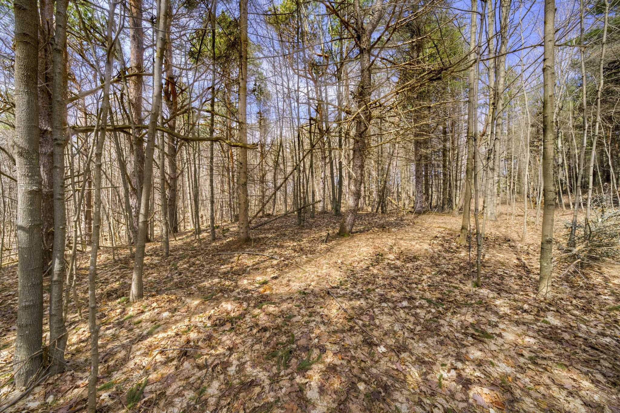 Parcel B East Bodus Road Cedar, MI 49621 - Photo 5 of 10
