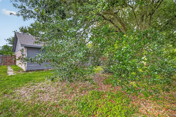 a view of a yard with plants and bench