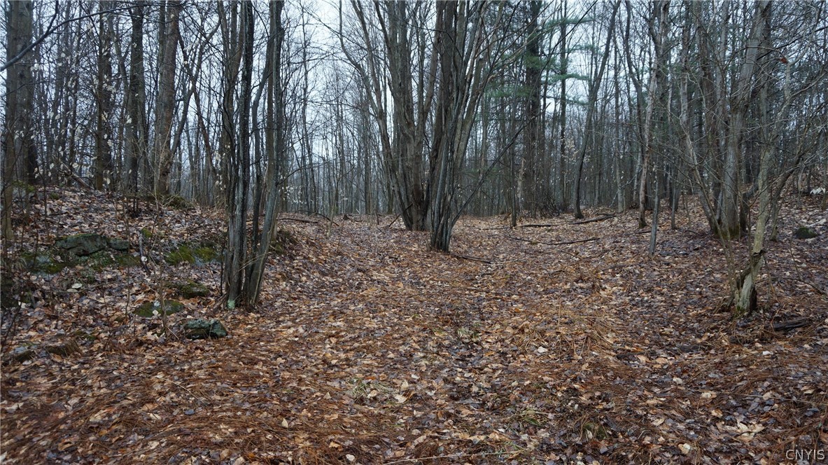 3 Nys Route Carthage, NY 13619 - Photo 13 of 23