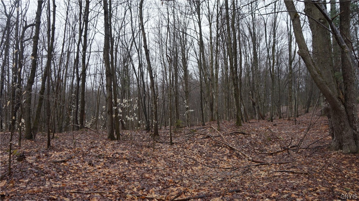 3 Nys Route Carthage, NY 13619 - Photo 14 of 23
