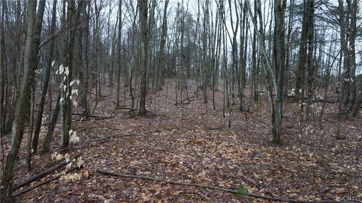 3 Nys Route Carthage, NY 13619 - Photo 18 of 23