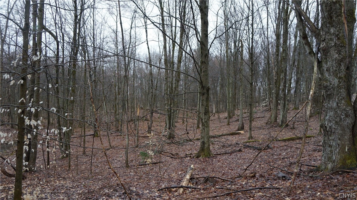 3 Nys Route Carthage, NY 13619 - Photo 20 of 23