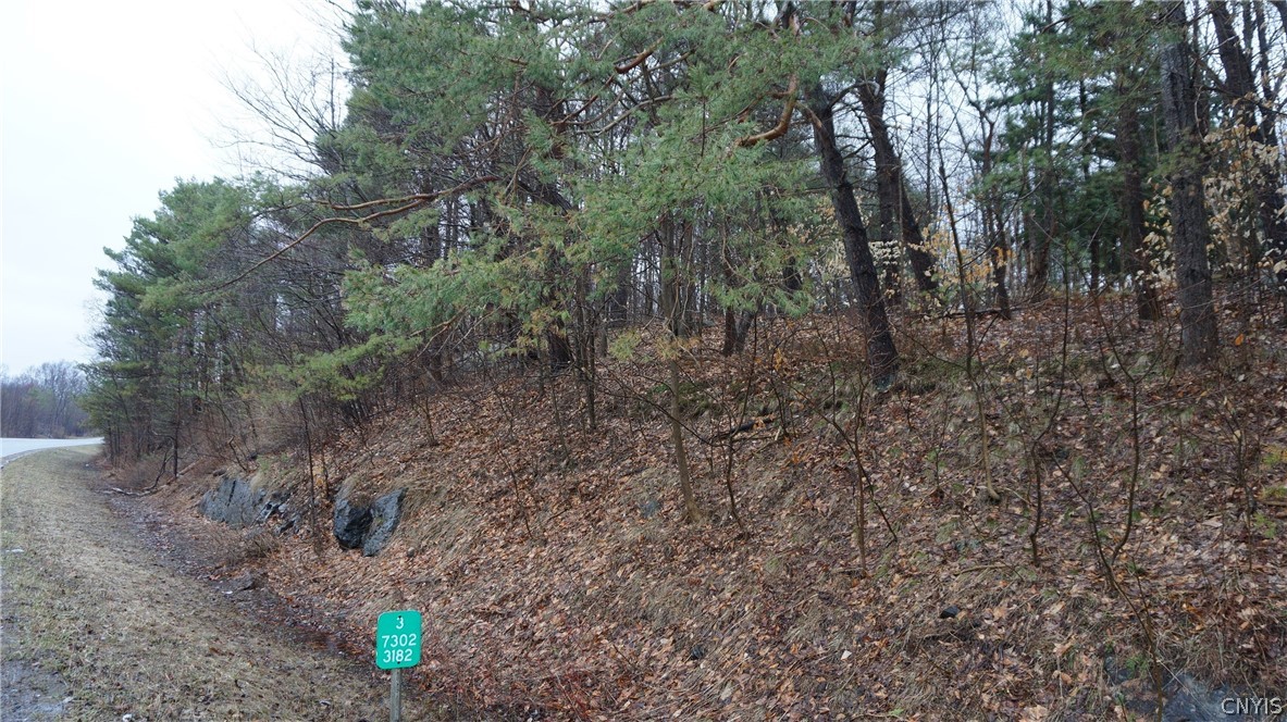 3 Nys Route Carthage, NY 13619 - Photo 6 of 23