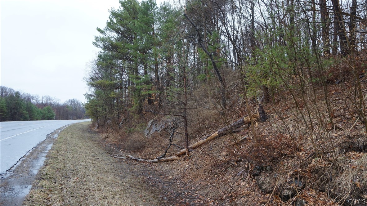 3 Nys Route Carthage, NY 13619 - Photo 8 of 23