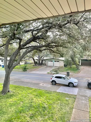 a view of a backyard