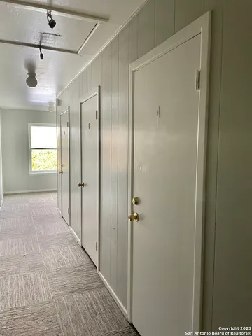 a view of a yard with plants and trees