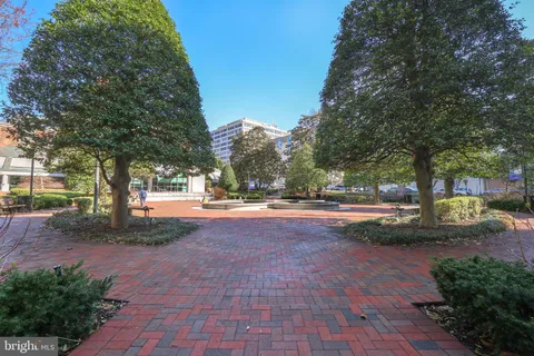 a view of backyard with tree