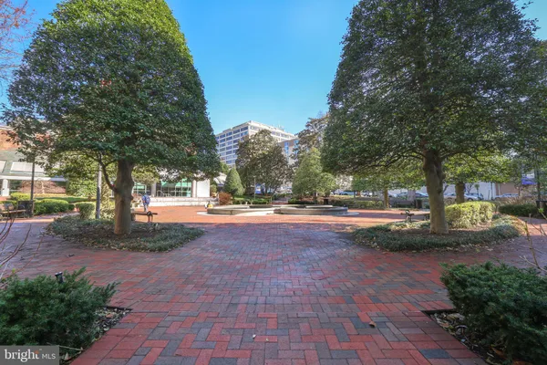 a view of backyard with tree