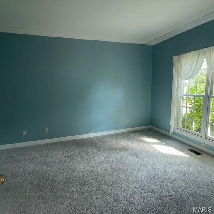 74 West Meath Ring Weldon Spring, MO 63304 - Photo 5 of 15