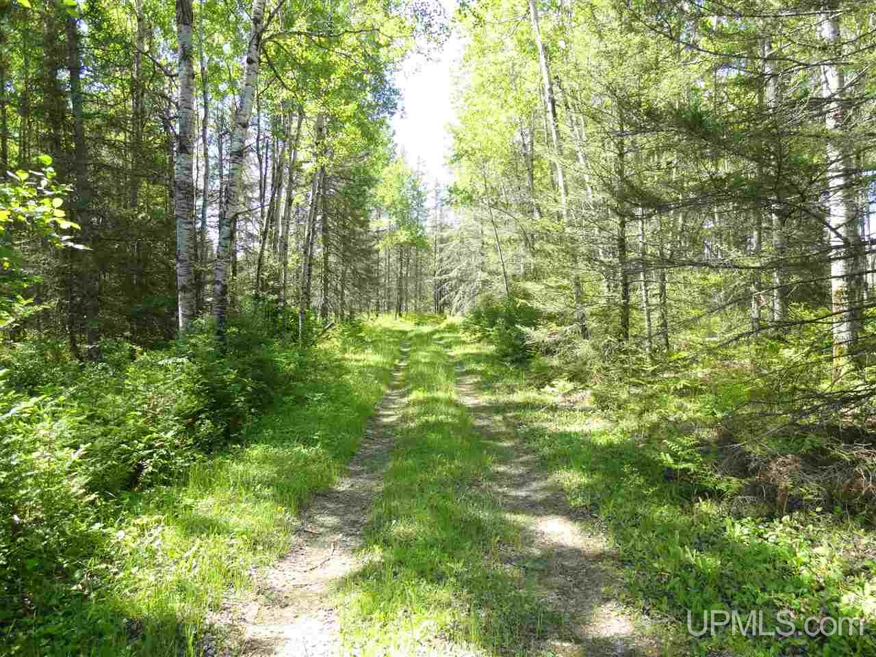 11 Co Road Felch, MI 49831 - Photo 9 of 36