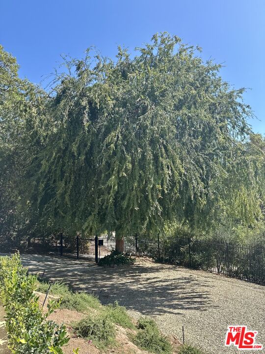 1131 Rancho Drive Ojai, CA 93023 - Photo 5 of 58 a view of a yard with trees