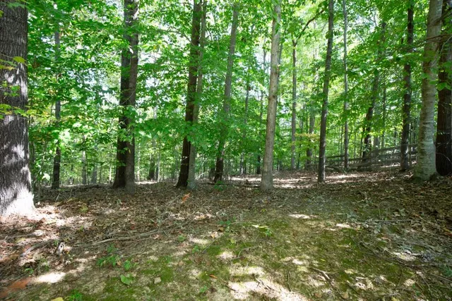 $2,075 | 3525 Park Bluff Lane Northwest, Duluth, GA 30096