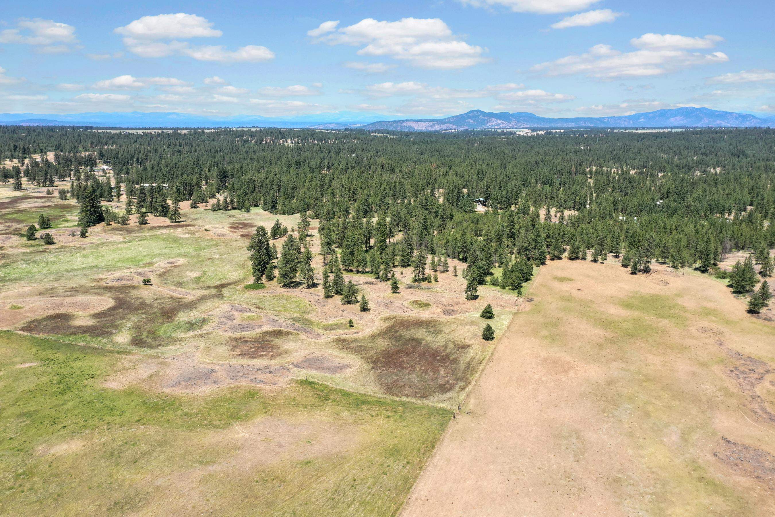 B North Ritchey Road Spokane, WA 99224 - Photo 2 of 28 Gallery Image 2