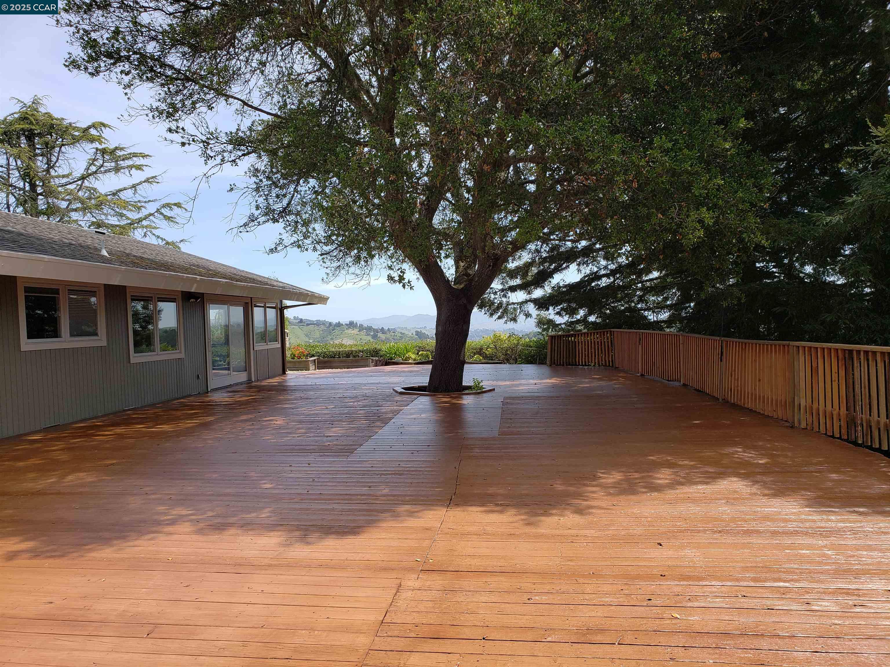 29 Chapel Drive Lafayette, CA 94549 - Photo 14 of 22 a view of a house with backyard and tree