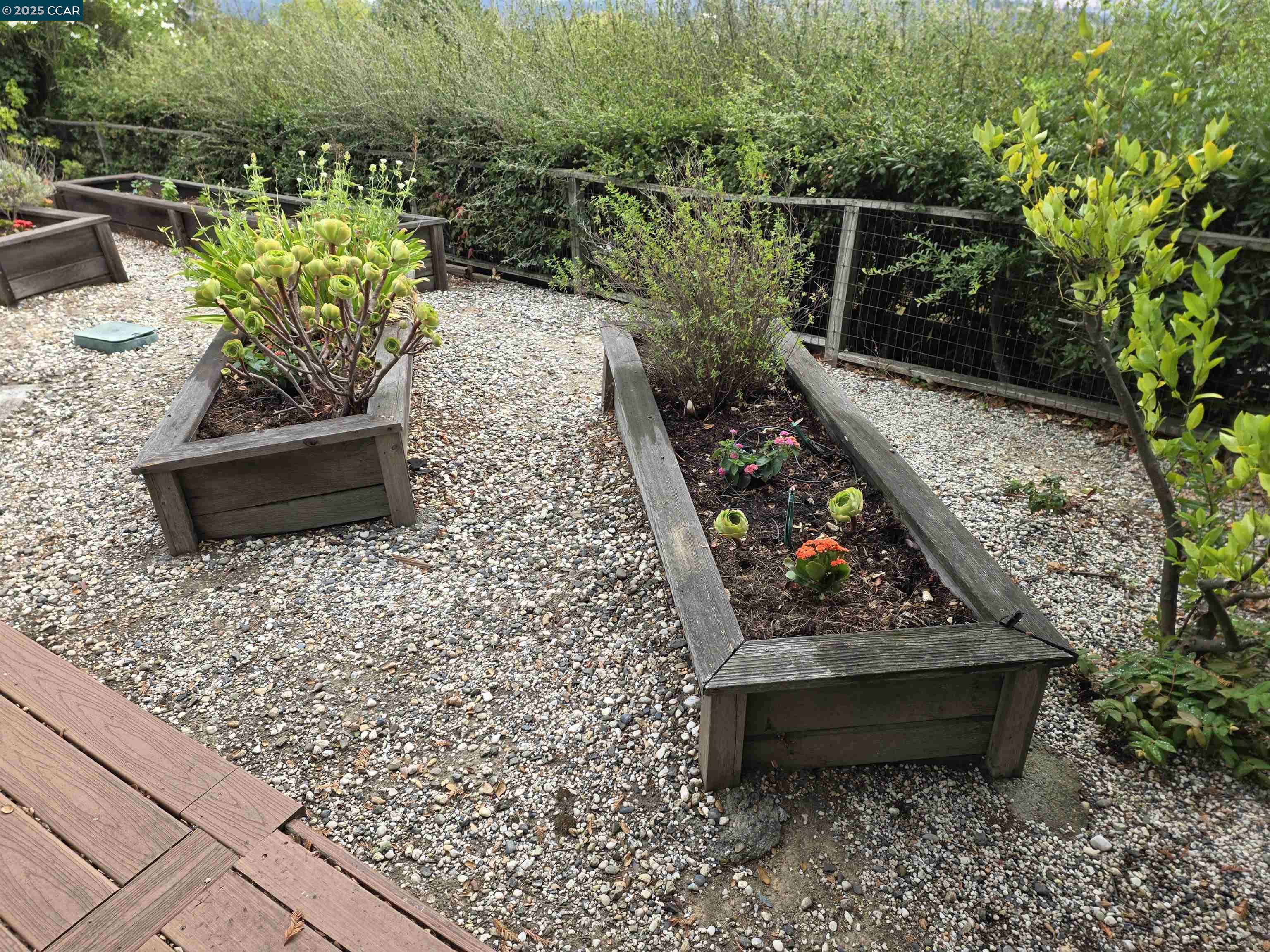 29 Chapel Drive Lafayette, CA 94549 - Photo 18 of 22 a bench sitting in the middle of a garden