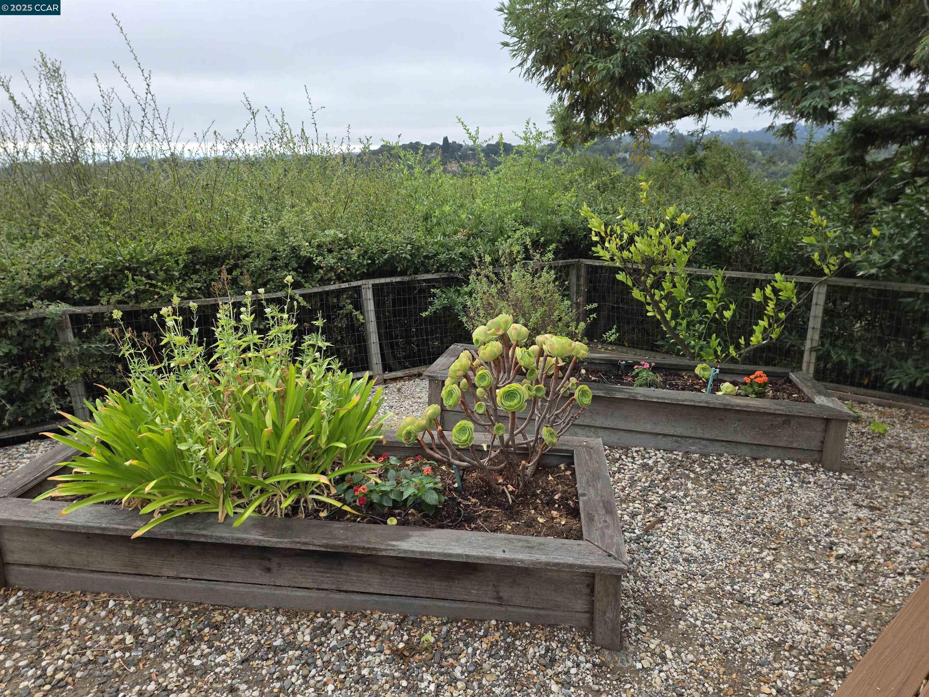29 Chapel Drive Lafayette, CA 94549 - Photo 19 of 22 a view of a bench sitting in the middle of a yard