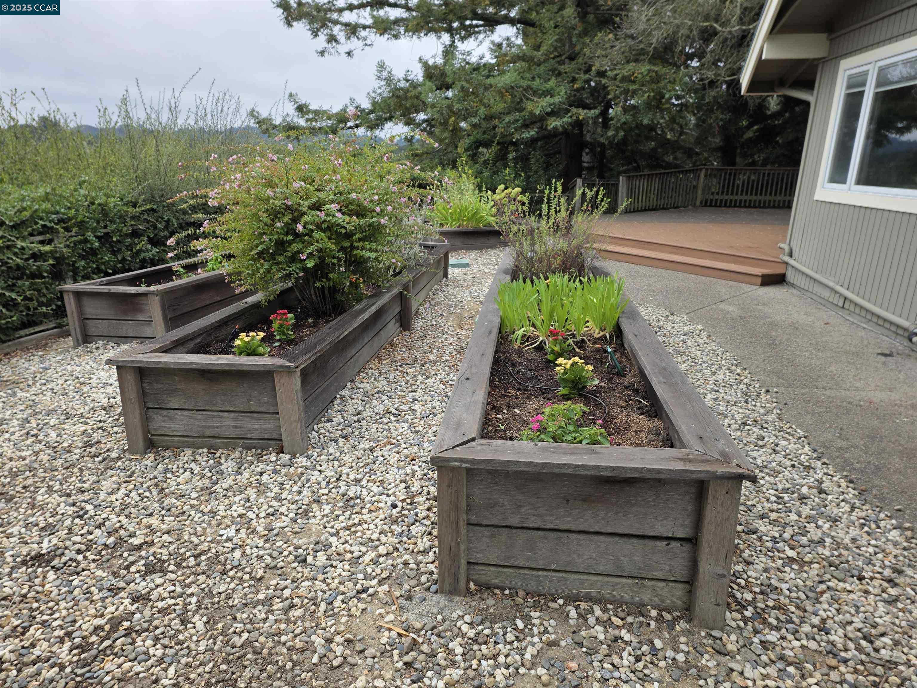 29 Chapel Drive Lafayette, CA 94549 - Photo 20 of 22 a view of a bench in the backyard