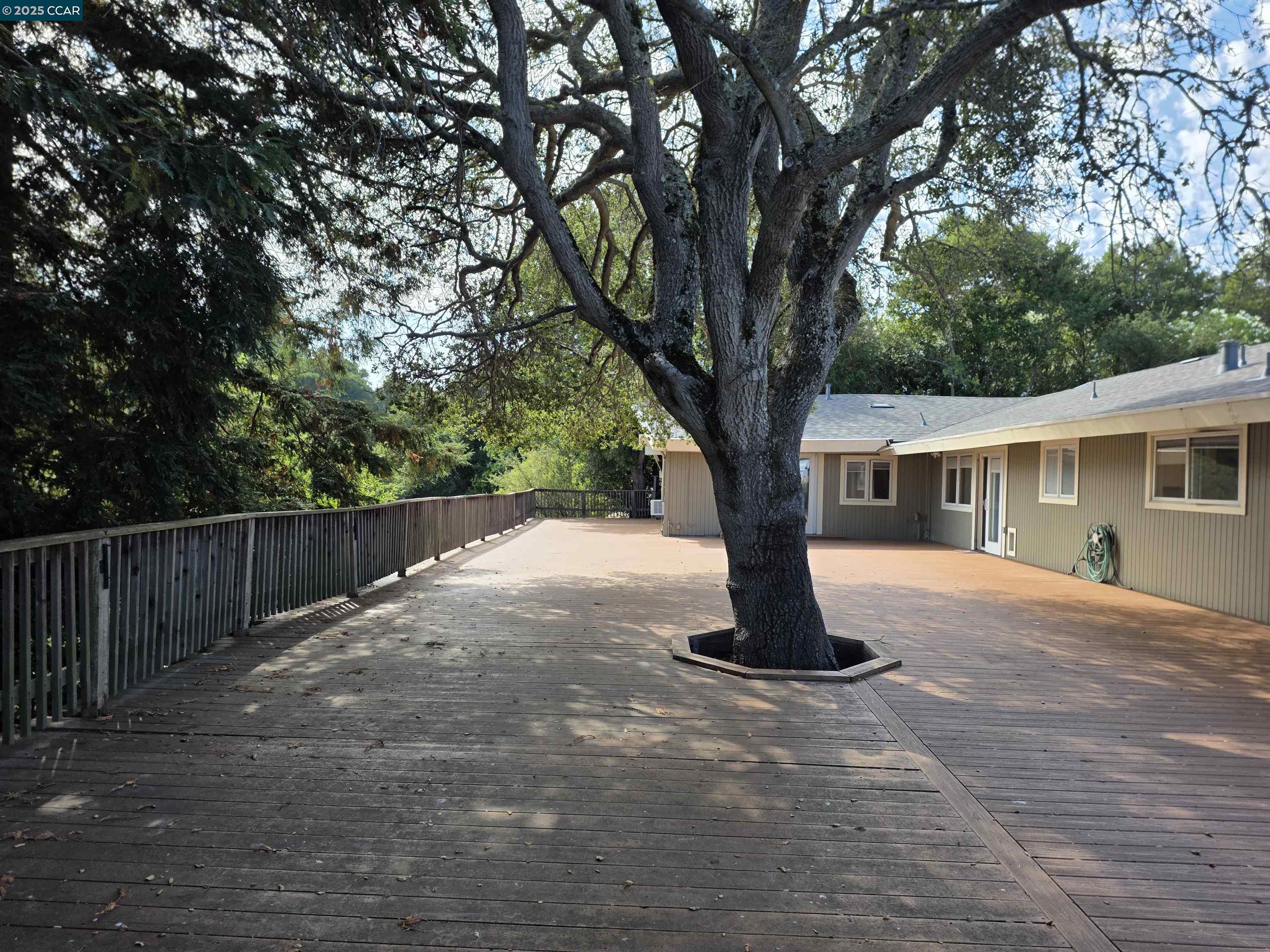 29 Chapel Drive Lafayette, CA 94549 - Photo 22 of 22 a tree in a house next to a large tree